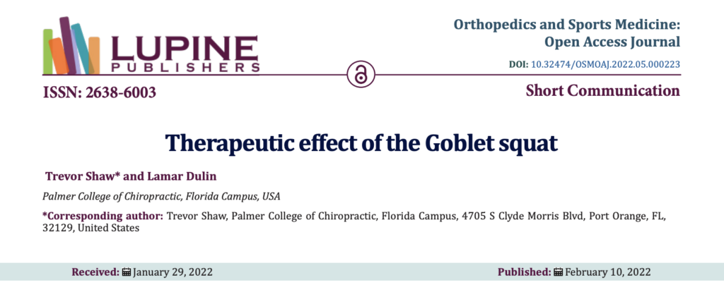 chiropractor singapore, goblet squat