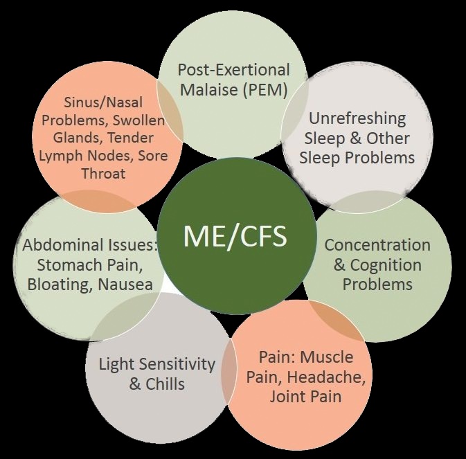 A structured pacing chart used at Square One to help ME/CFS patients manage energy levels and expand functional movement.