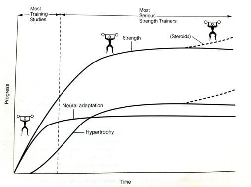 A diagram demonstrating the neural adaptation peak during the first 4 to 6 weeks of rehabilitation training